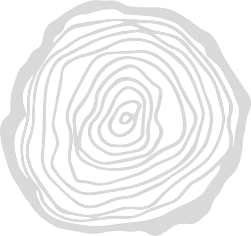 Log icon